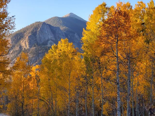 Colorado mountains on a day trip from Denver